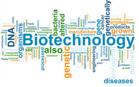 Biotechnology courses