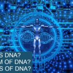 what-is-dna-full-form-of-dna-ka-functions